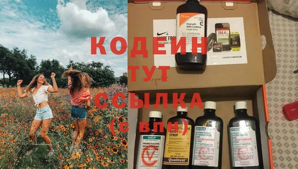 хмурый Михайловск