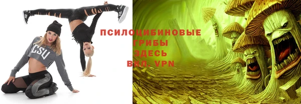 хмурый Михайловск