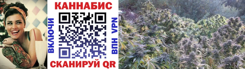 продажа наркотиков  KRAKEN ссылки  МАРИХУАНА план  Дно 